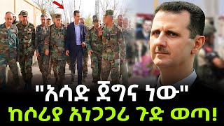 Syria  ሶሪያ ሌላ ማአት ወረደባት ተረክ ሚዛን Salon Terek [upl. by Idoux]