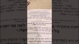 Chazan N Gluck  Chatzi Kaddish after leaning yomim noroim [upl. by Inman]