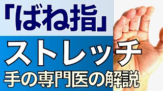 【手専門医解説】ばね指のストレッチ 自宅でできる！ [upl. by Ilellan]