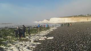 Birling Gap East Sussex Human Seal Like Behaviour [upl. by Desdee]