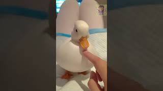 El Pato Enano el pato más lindo del mundo 🦆🦆 [upl. by Ahtnams]