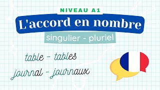 Le singulier et le pluriel des noms  Leçon de français Niveau A1  Cours de grammaire [upl. by Aiel]