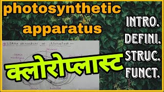 photosynthetic apparatus chloroplast क्लोरोप्लास्ट introduction definition structure function [upl. by Mychal]