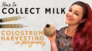 Hand Expression In Pregnancy  How To Collect Colostrum [upl. by Hoem]