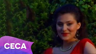 Ceca  Mokra trava  Official Video 1991 [upl. by Eerbua108]