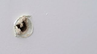 Patch Screw Holes In Drywall In 4 Easy Steps  The Spruce HowToPatchScrewHolesInDrywall [upl. by Atil]