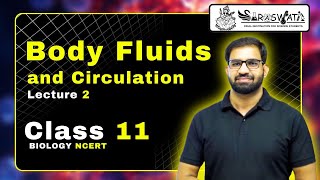 ABO Blood Group System Body Fluids amp Circulation Blood Grouping Class 11 NEET part  2 [upl. by Dame]