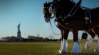 Greatest Super Bowl Commercials Ever Made  Budweiser Clydesdales 911 Tribute [upl. by Nela]