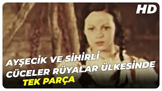 Ayşecik ve Sihirli Cüceler Rüyalar Ülkesinde  Eski Türk Filmi Tek Parça [upl. by Lucrece]