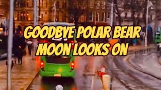 Goodbye Polar Bear  Moon Looks On [upl. by Pears]