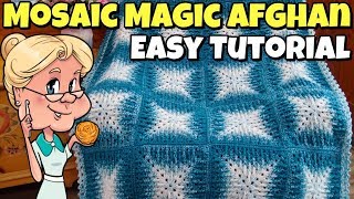 Mosaic Magic Afghan  Easy Crochet Tutorial  Lion Brand quotScarfiequot Yarn [upl. by Smallman]