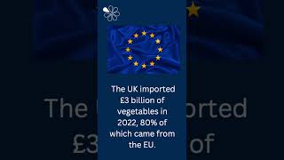 New Brexit Rules to Increase UK Food Prices  £200m Higher Cost for Fruit amp Veg [upl. by Gnav29]