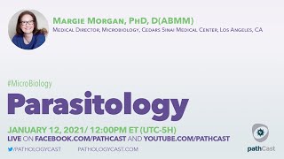 Parasitology  Dr Morgan Cedars Sinai MICROBIOLOGY [upl. by Annawal]