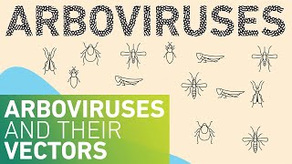 Arboviruses and their Vectors [upl. by Ahsot593]