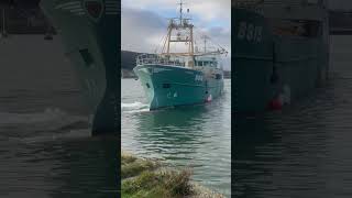 Valente Beaumaris B818 leaving porth penrhyn ship boat mussels food travel cargo [upl. by Enileqcaj]