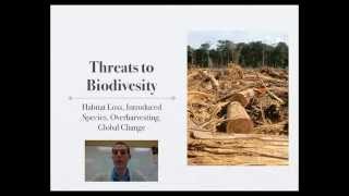 Threats to Biodiversity [upl. by Alleinad]