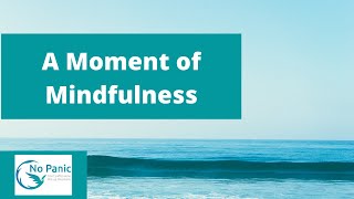 A Moment of Mindfulness [upl. by Leziar]