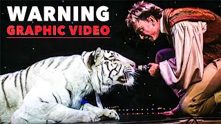 UNRELEASED Video of Siegfried and Roy Tiger Attack [upl. by Aikemal]