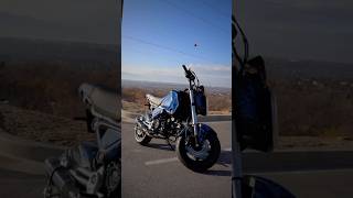 2023 Honda Grom Edit gromlife motorcycle bikelife grom motorbike automobile hondagrom moto [upl. by Neeneg]