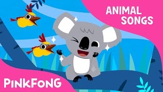 Koala Lalala  Koala  Animal Songs  Pinkfong Songs for Children [upl. by Azne783]