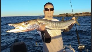 My big Barracuda capture Karratha Western Australia [upl. by Inavihs]