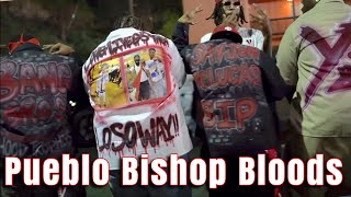 Pueblo Bishop Bloods  The Run Down [upl. by Eirehs]