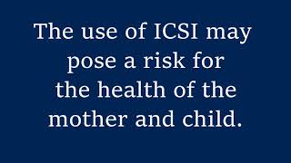 Intracytoplasmic Sperm Injection ICSIIVFICSIWhat are the risks [upl. by Tnayrb520]