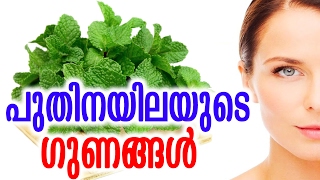 പുതിനയിലയുടെ ഗുണങ്ങൾ  Health Benefits of Mint  Malayalam Tasty World [upl. by Burkitt]