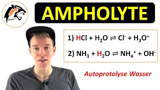 Was sind Ampholyte  Chemie Tutorial [upl. by Anohsal510]