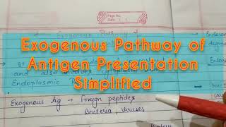 Exogenous Pathway of Antigen Presentation [upl. by Diskin]