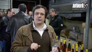 Panos Kakaviatos visits the wine domain Albert Mann Alsace [upl. by Amalie]