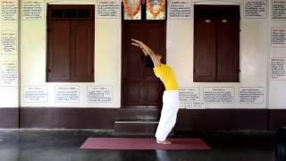 30 minutes practice of Sivananda Yoga for beginners to intermediates [upl. by Twila]