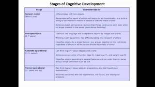 Piaget 1  5  Stages of Development [upl. by Ermeena]