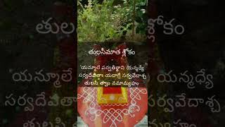 Tulasi maata slokambakthi hinduprayer ytshort subscribe [upl. by Arreic]