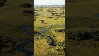 Day 23 🇧🇼Botswana  Okavango Delta Most famous landmark of every country [upl. by Ikila]