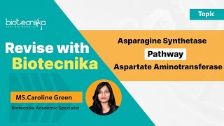 Asparagine Synthetase vs Aspartate Aminotransferase Pathway  CSIR NET Revision With Biotecnika [upl. by Kannan]