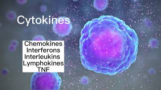 Cytokines [upl. by Anavahs918]