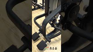 ASJGM47 Triceps Press Machine [upl. by Einnal986]