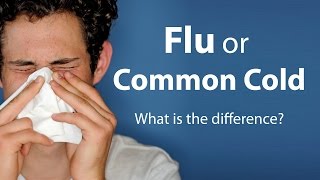 Flu or Common Cold  What is the difference [upl. by Dylane469]