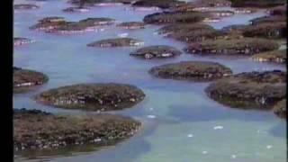 Evidence of the Primordial Ocean Part 1 Uluru amp Hamelin Pool [upl. by Belen]