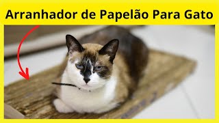 Como Fazer Arranhador de Papelão Para Gato  Arranhador Caseiro de Papelão [upl. by Ailaza]