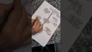 tree drawing tree charcoaldrawing treework trending viral diy new newshorts support draw [upl. by Melany]