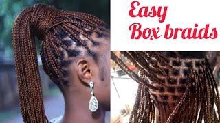 How to do Knotless Box Braids Beginner friendly Box Braids Tutorial hair hairstyle tutorial [upl. by Ines185]