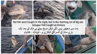 No Fish were Caught in the night but in the morning lot of big size Grouper Fish Caught at Ormara [upl. by Kieran794]