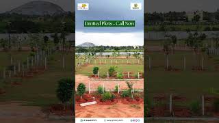 Best Managed Farmland near North Bangalore  Elegant Orchards Estate [upl. by Akili]