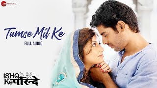 Tumse Mil Ke  Full Audio  Ishq Ke Parindey  Javed Ali Palak Muchhal Rishi Verma Priyanka Mehta [upl. by Notxed]