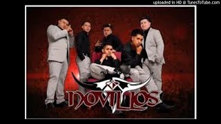 Novillos musical  El Regreso Del Zancudito Loco [upl. by Htebezile]