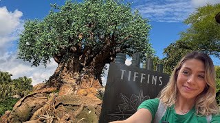 Disneys Animal Kingdom Tiffins Restaurant Experience [upl. by Carli]