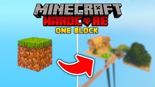 I Survived 100 Days on ONE BLOCK in Hardcore Minecraft Pt1 [upl. by Eniliuqcaj284]