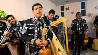 Mariachi Reyes de Zacatecas Cuatro Vidas [upl. by Barvick]